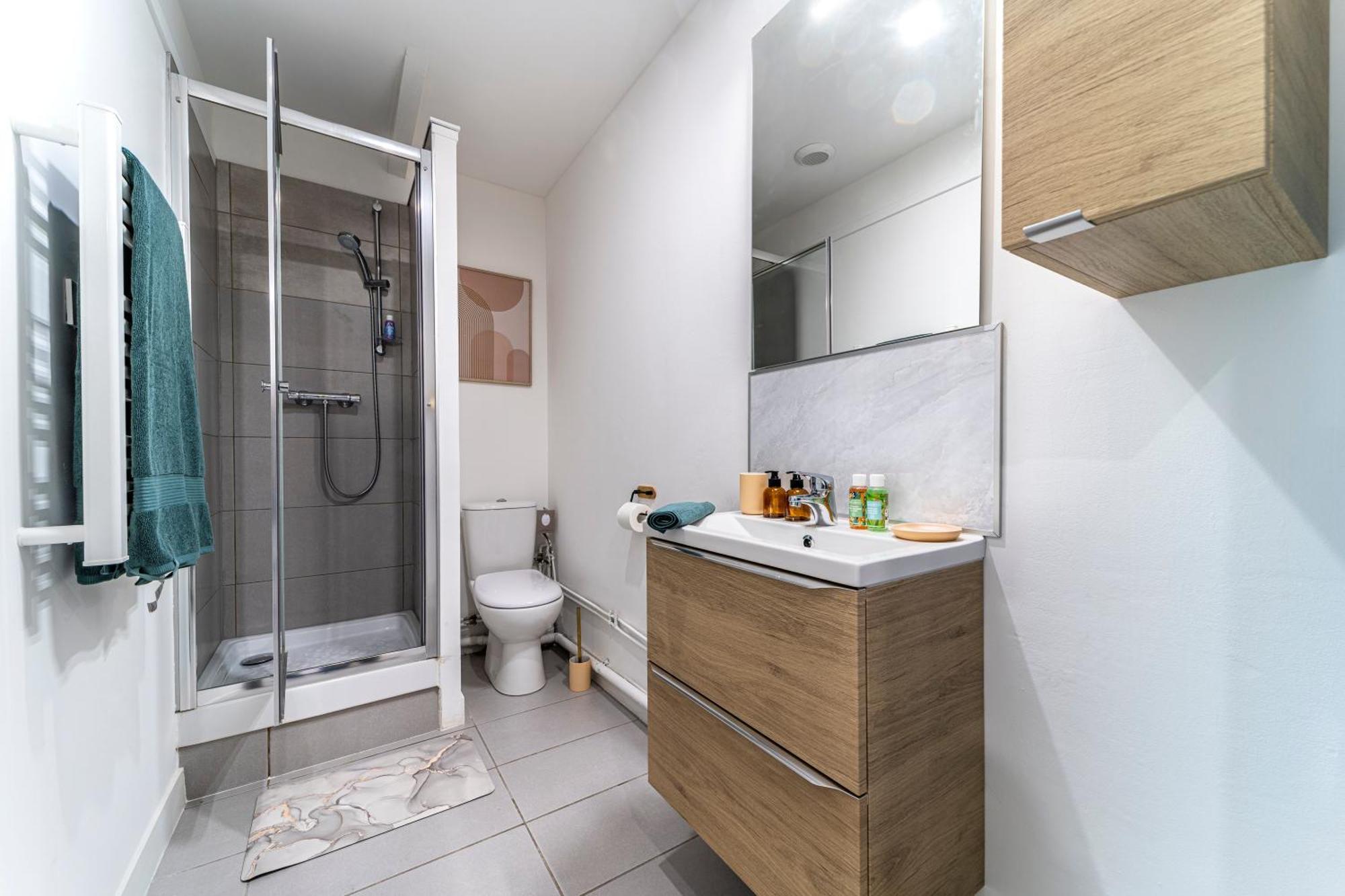 Le Cosy - Free Parking - Proche Gares Lille - Netflix - Wifi Apartment *